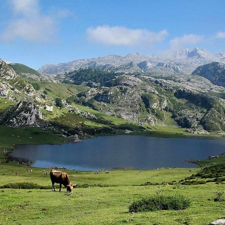 Ferienwohnung Casa Noval Zona Rural En El Centro De Asturias Bimenes Exterior foto