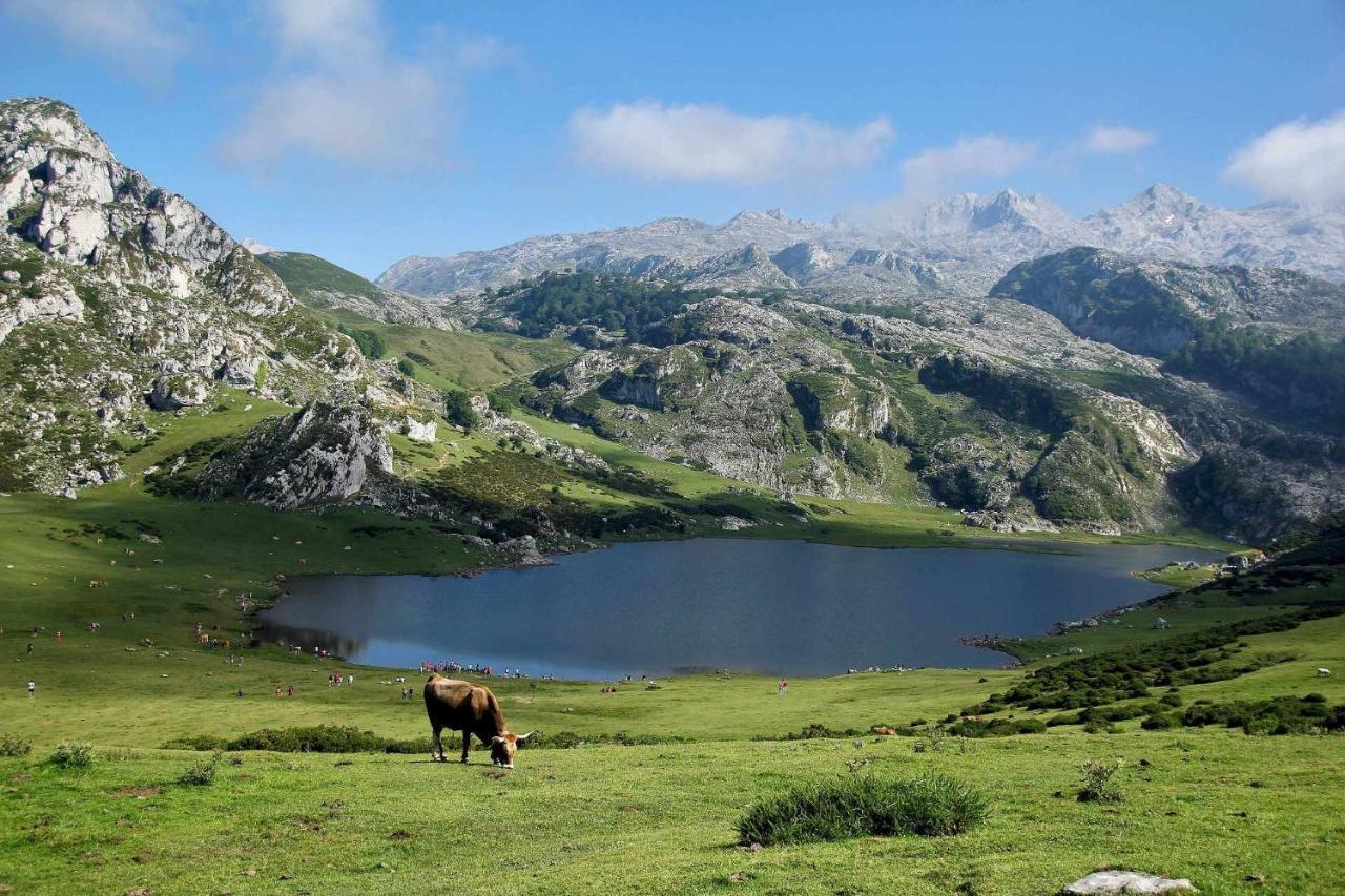 Ferienwohnung Casa Noval Zona Rural En El Centro De Asturias Bimenes Exterior foto