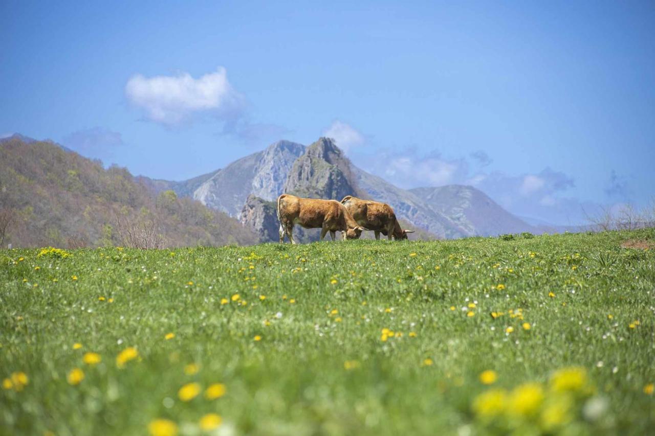 Ferienwohnung Casa Noval Zona Rural En El Centro De Asturias Bimenes Exterior foto